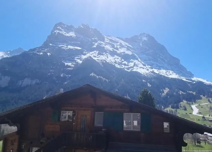 Apartament Mom - Alpine Boutique Apartments, Alpstein Eiger View Terrace, Center Grindelwald