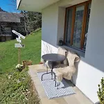 Apartment Mom - Alpine Boutique Apartments, Alpstein Eiger View Terrace, Center