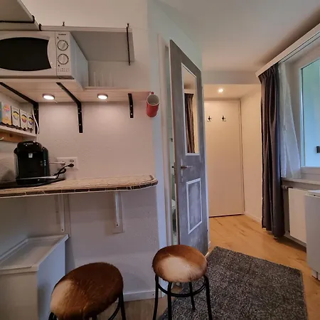 Mom - Alpine Boutique Apartments, Alpstein Eiger View Terrace, Center شقة جريندلوالد